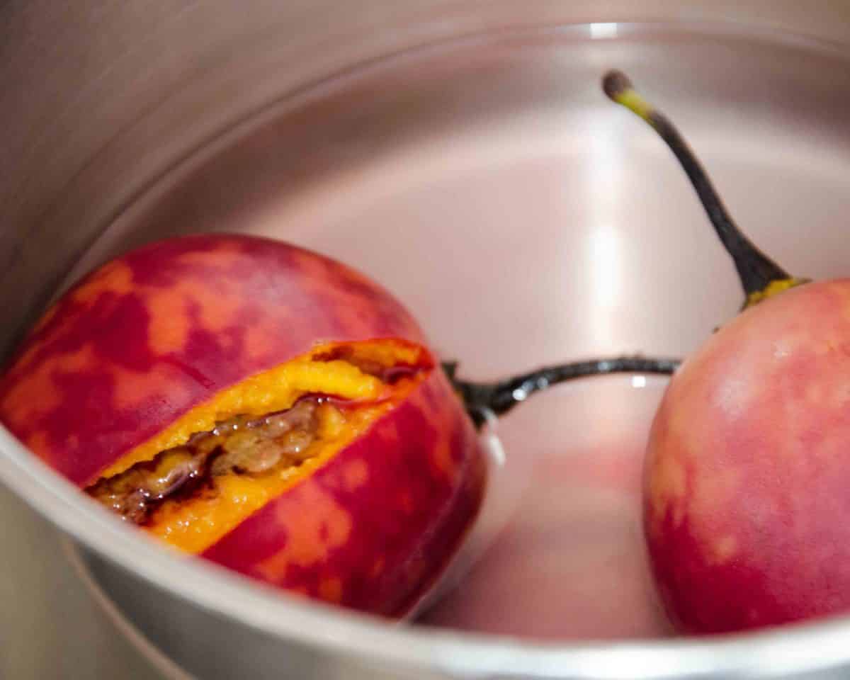 Cooked Tomate de Arbol Cooked Tomate de Arbol, recipe for Ecuadorian Hot Sauce