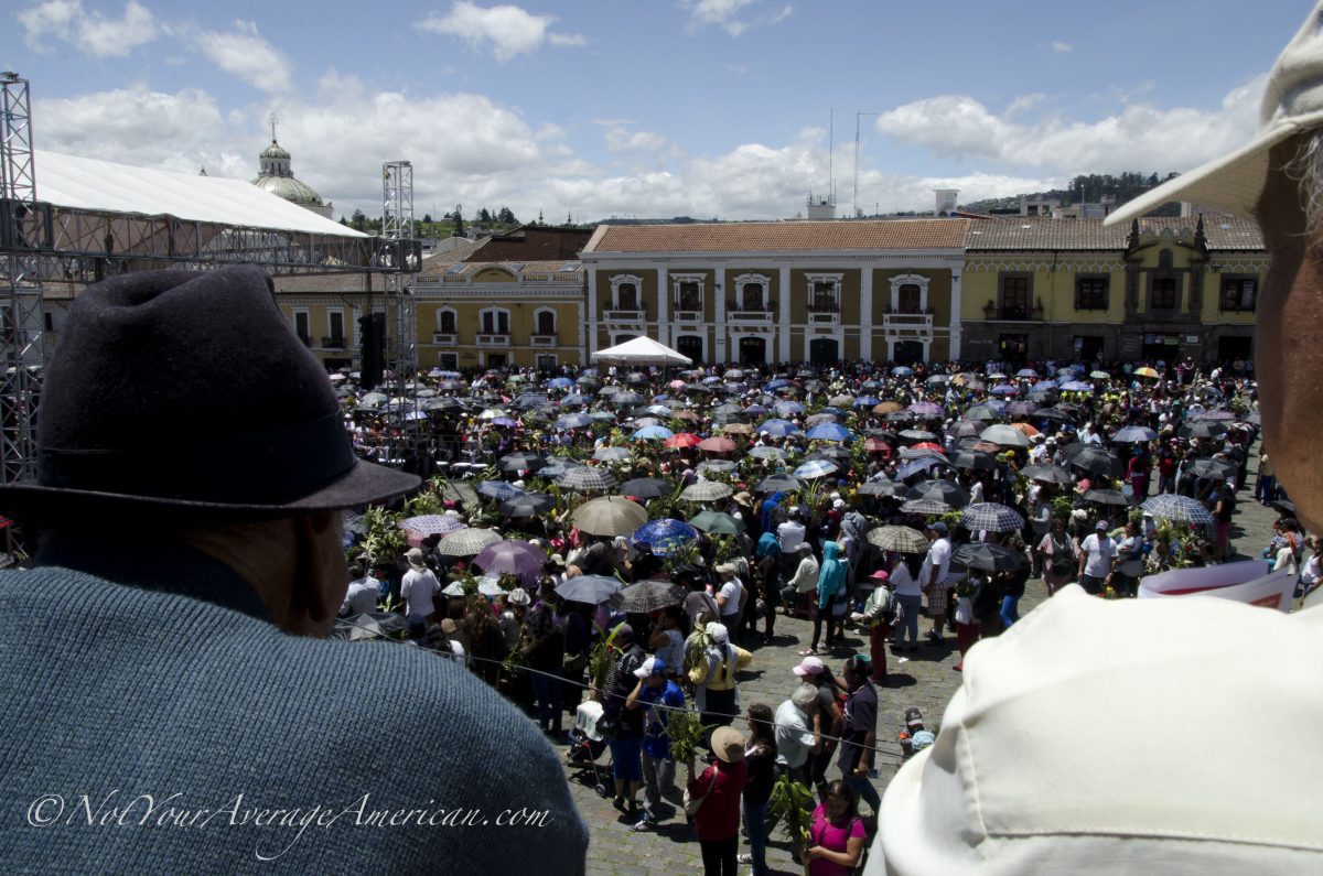Palm Sunday Crowd, Plaza San Francisco, Quito, Ecuador | ©Angela Drake Palm Sunday Crowd, Plaza San Francisco, Quito, Ecuador | ©Angela Drake