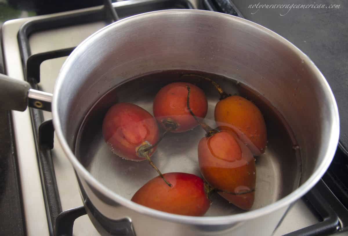 Boil the Tree Tomatoes, Ecuadorian Hot Sauce with Ginger Boil the Tree Tomatoes, Ecuadorian Hot Sauce with Ginger