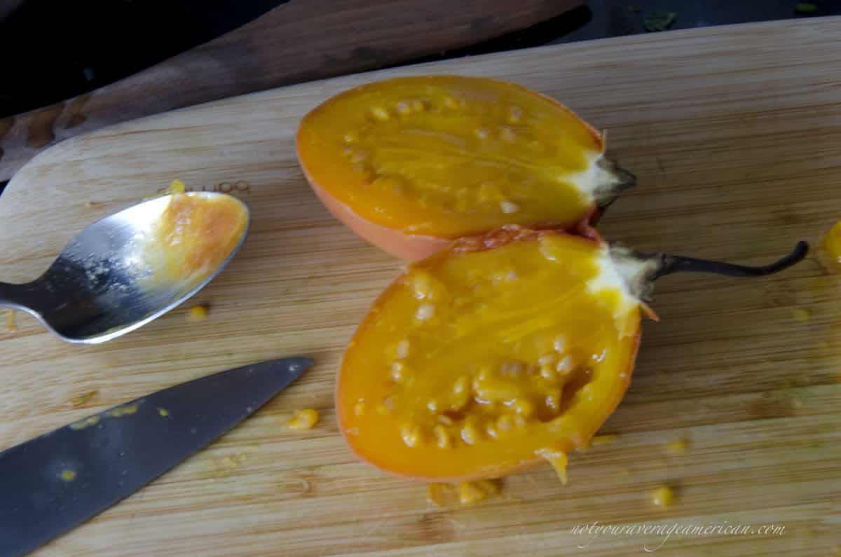Seeding a Tree Tomato, Ecuadorian Hot Sauce with Ginger Seeding a Tree Tomato, Ecuadorian Hot Sauce with Ginger