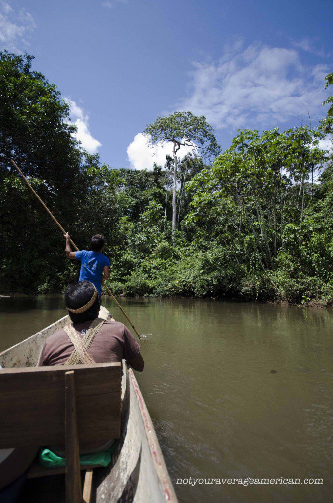 The huge tree in the distance marks the boundary between the Huaorani Lodge where no hunting is allowed and the hunting grounds of the Huaorani.