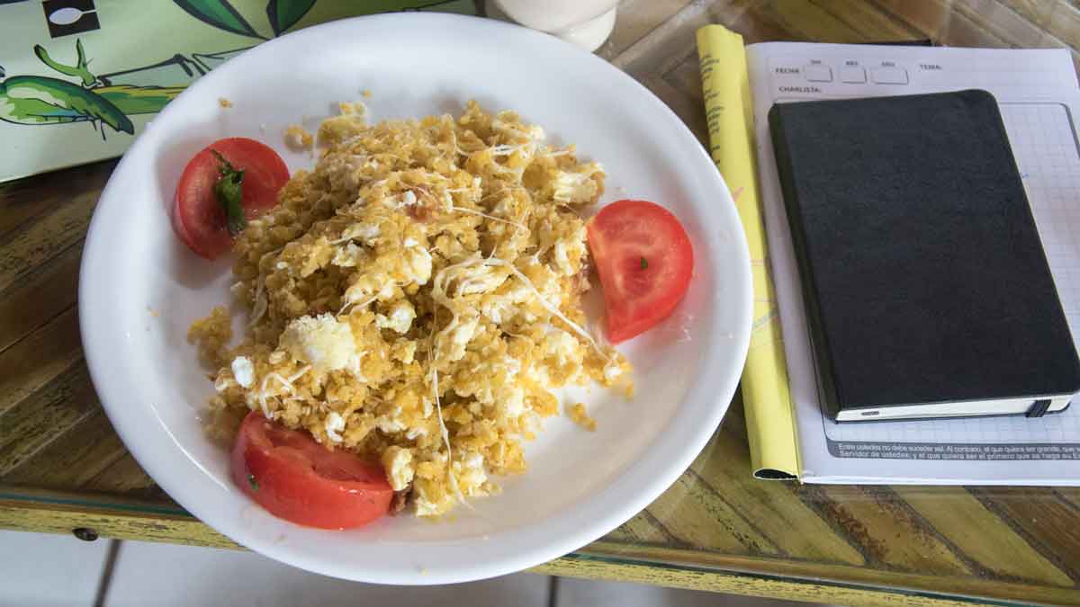 Tigrillo, the breakfast of champions Tigrillo, the breakfast of champions