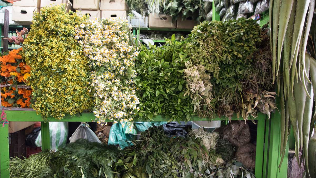 Fresh Herbs from the Plaza Mercado de Paloquemao | ©Angela Drake Fresh Herbs from the Plaza Mercado de Paloquemao | ©Angela Drake