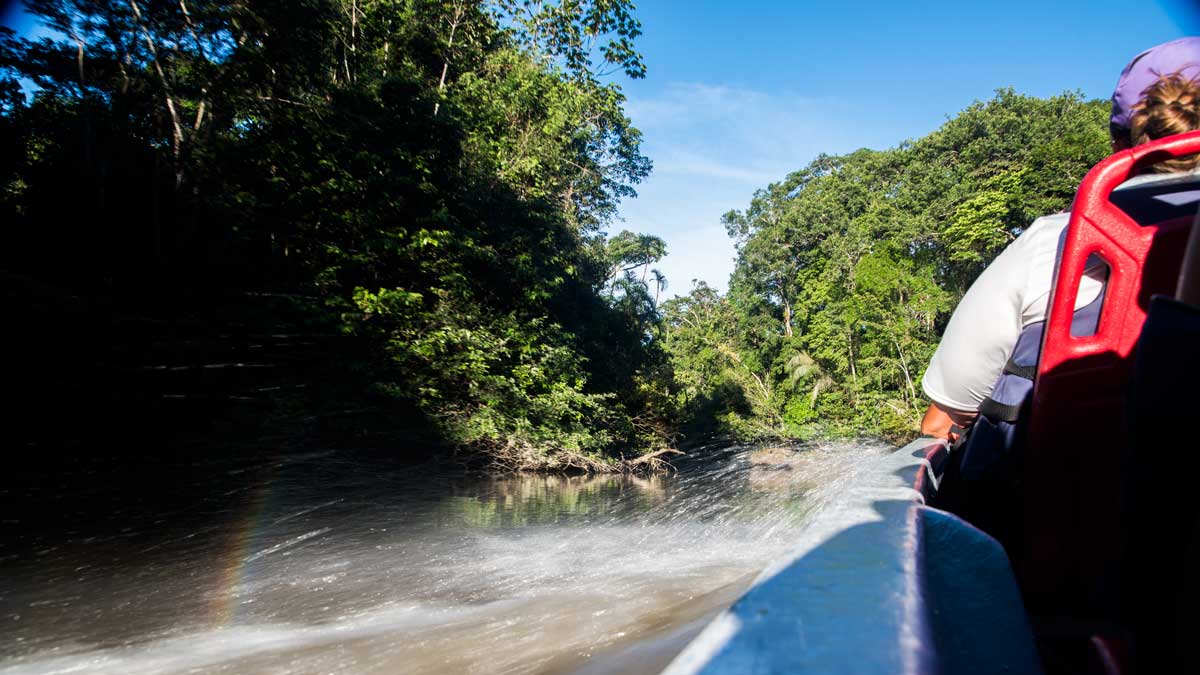 Sightseeing by Boat; Upper Cuyabeno, Ecuador | ©Angela Drake Sightseeing by Boat; Upper Cuyabeno, Ecuador | ©Angela Drake