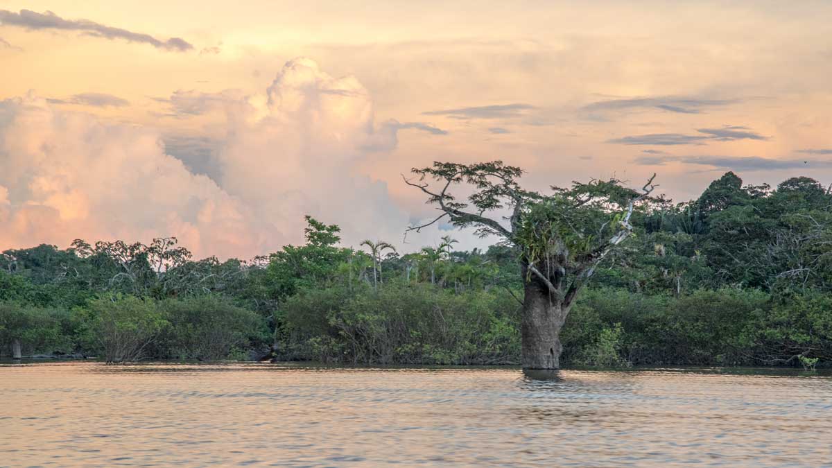 Laguna Grande, Cuyabeno, Ecuador | ©Angela Drake Laguna Grande, Cuyabeno, Ecuador | ©Angela Drake
