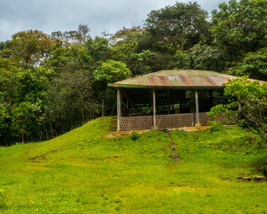 The protected structure at La Pelota, San Agustin, Colombia | ©Ernest Scott Drake The protected structure at La Pelota, San Agustin, Colombia | ©Ernest Scott Drake