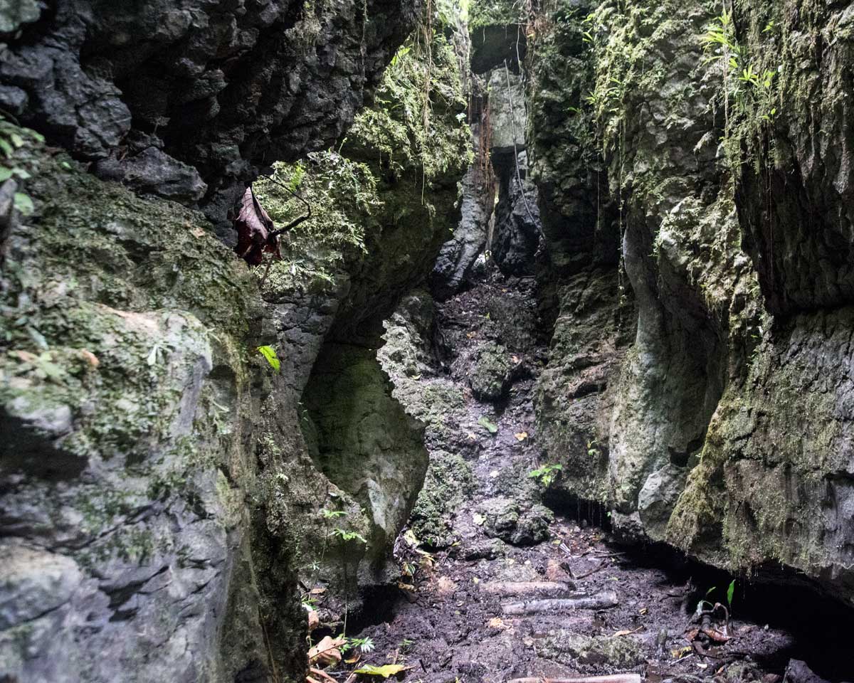 Path through the Labyrinth of a Thousand Illusions, Ecuador | ©Angela Drake Path through the Labyrinth of a Thousand Illusions, Ecuador | ©Angela Drake